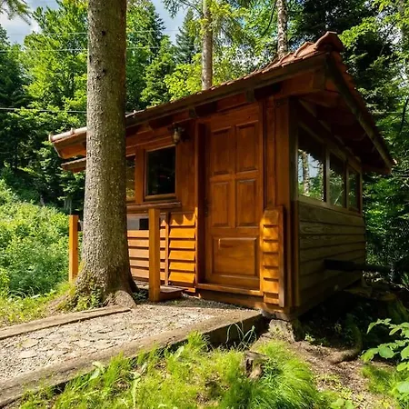 Forest Amerika - Ivcakova Koliba Vrbovsko