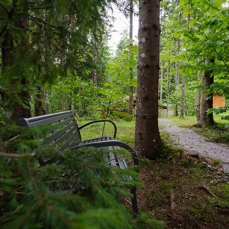 Forest Amerika - Ivcakova Koliba Chalet *